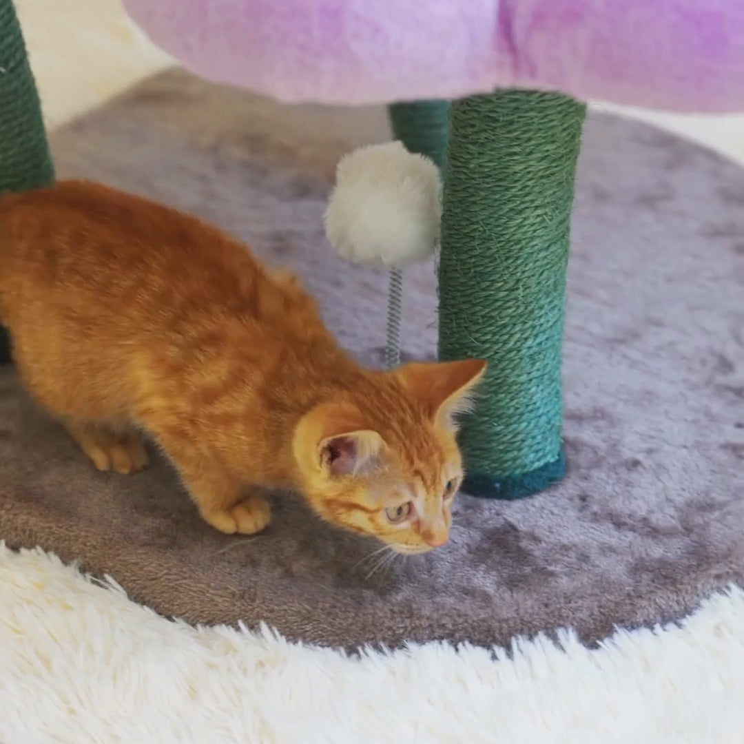 An orange cat jumping on the three flower platforms of the Bloomy Flower Cat Tree