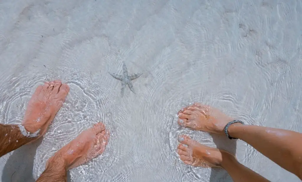 photo looking down of man and woman's feet in clear water with a sandy bottom and a starfish in the water. happytogetheranywhere.com